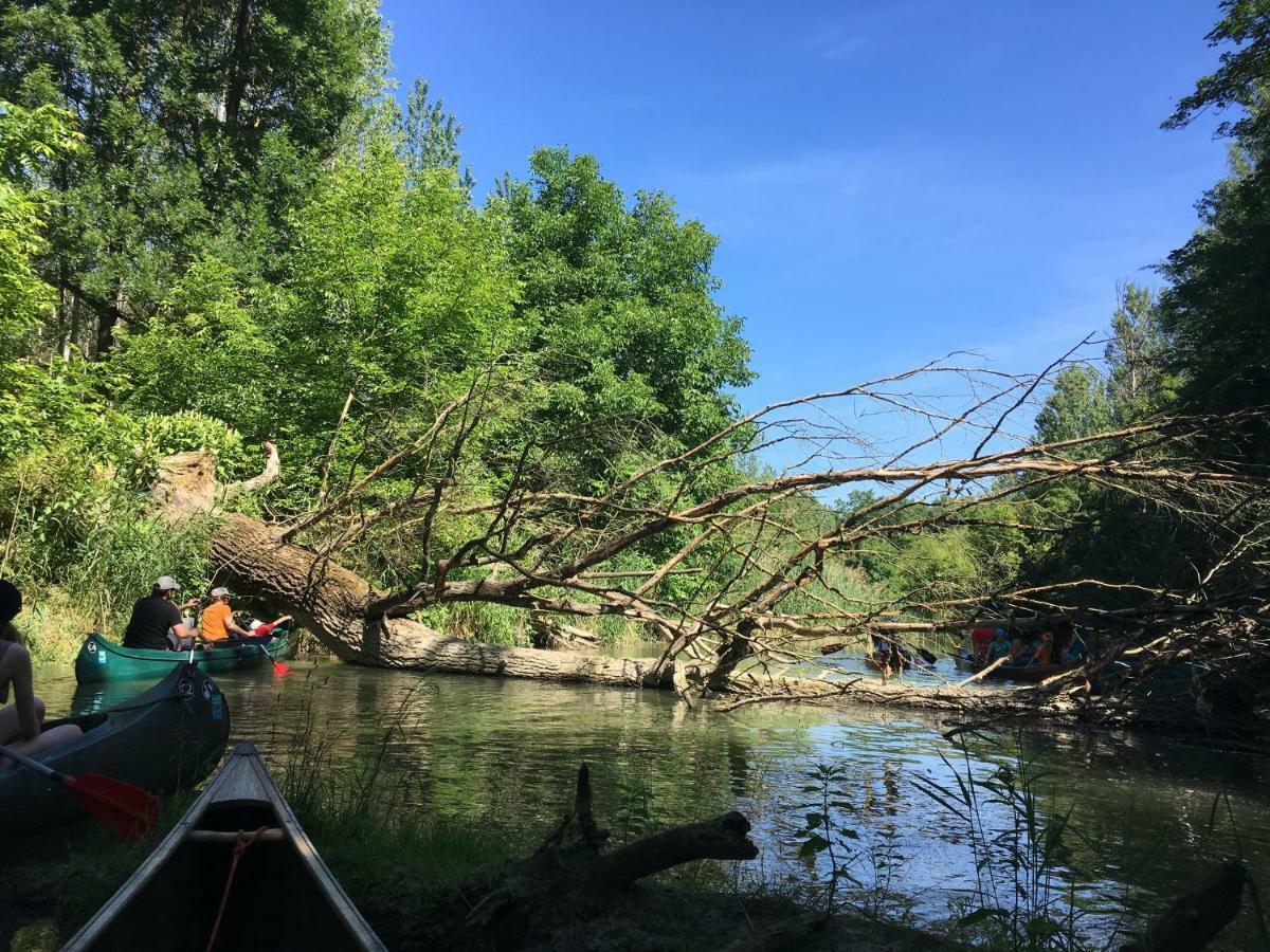 Donaupark Camping Tulln Tulln An Der Donau Exterior foto