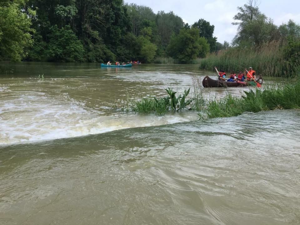 Donaupark Camping Tulln Tulln An Der Donau Exterior foto